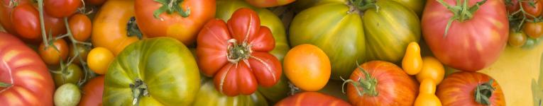heirloom tomatoes