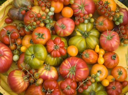 heirloom tomatoes